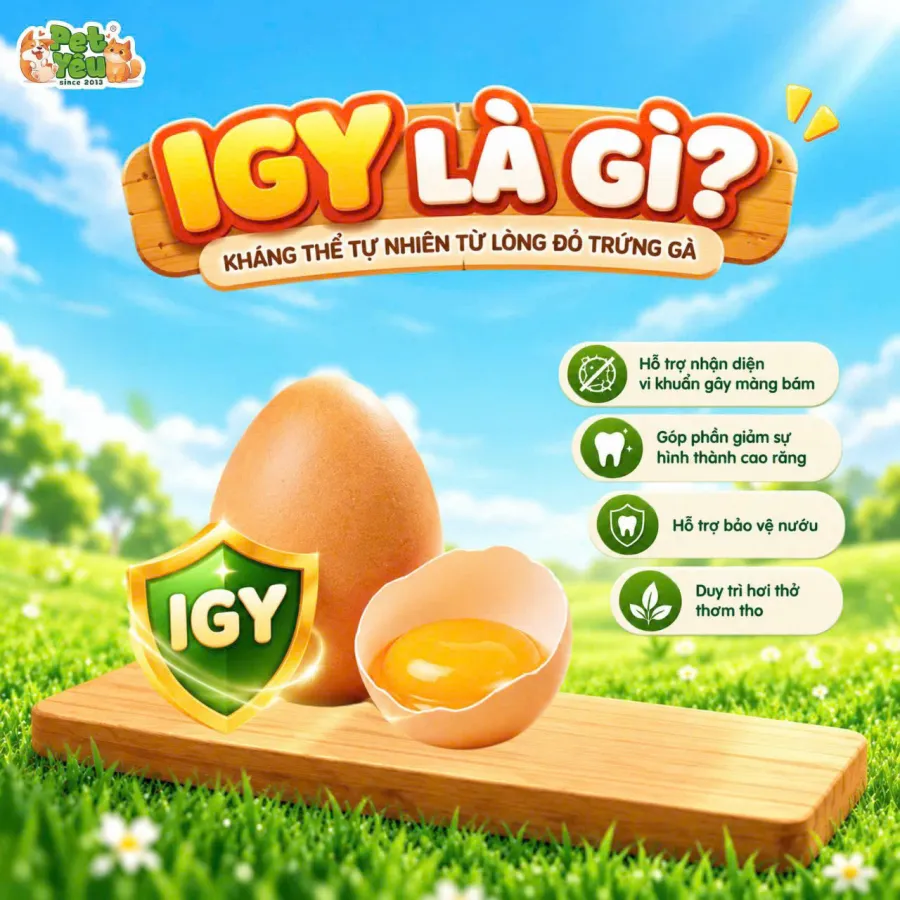 Xương Gặm Que Dẻo Dog Like Chewy Cho Chó - Túi 80G