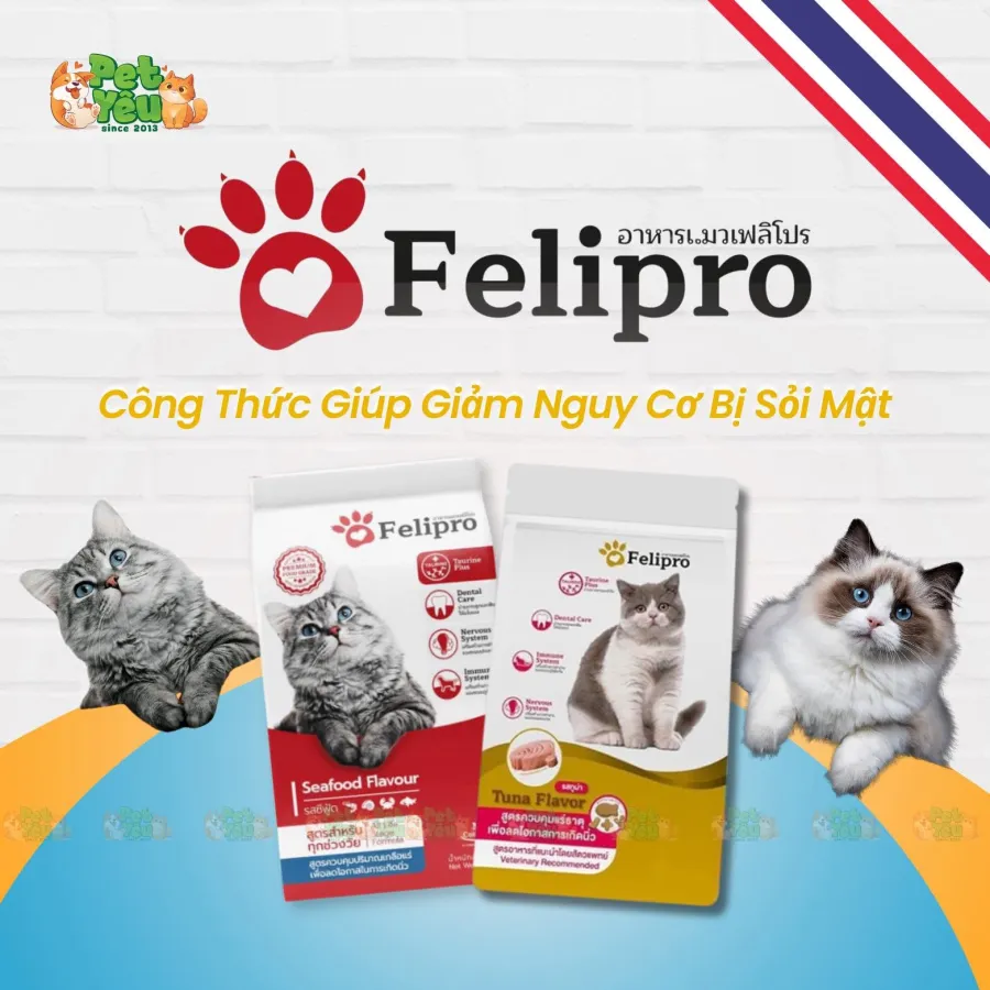 Thức Ăn Hạt Dành Cho Mèo Felipro Nhập Khẩu Thái Lan