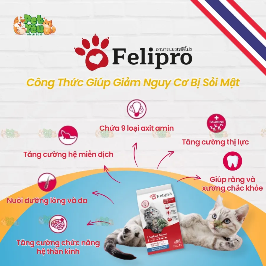 Thức Ăn Hạt Dành Cho Mèo Felipro Nhập Khẩu Thái Lan