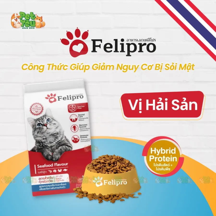 Thức Ăn Hạt Dành Cho Mèo Felipro Nhập Khẩu Thái Lan