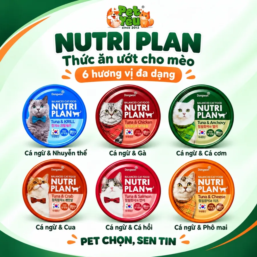 Pate Dành Cho Mèo Nutri Plan Xuất Xứ Hàn Quốc - Lon 160g