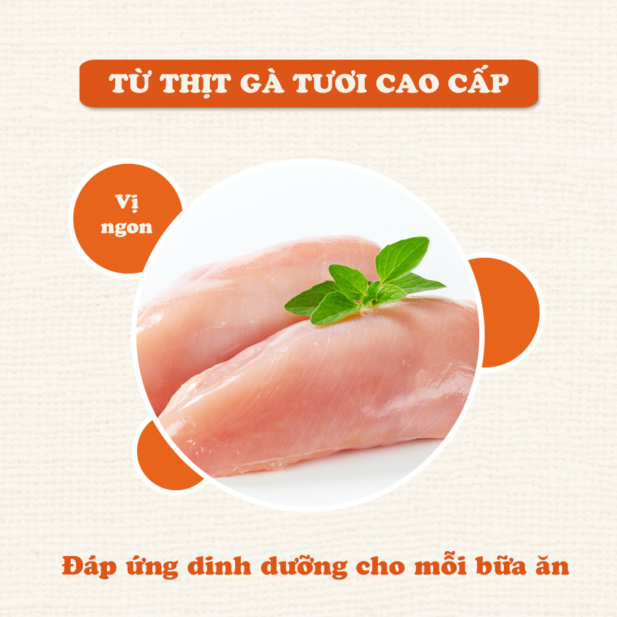 Snack Thịt Gà Sấy Dẻo Doggy Man cho cún cưng- Túi 80G