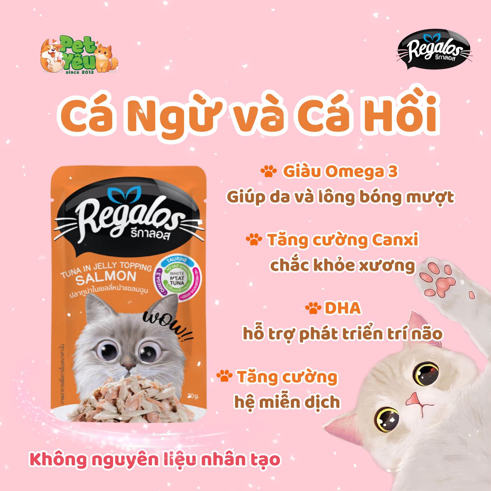 Pate Regalos cho mèo -70G