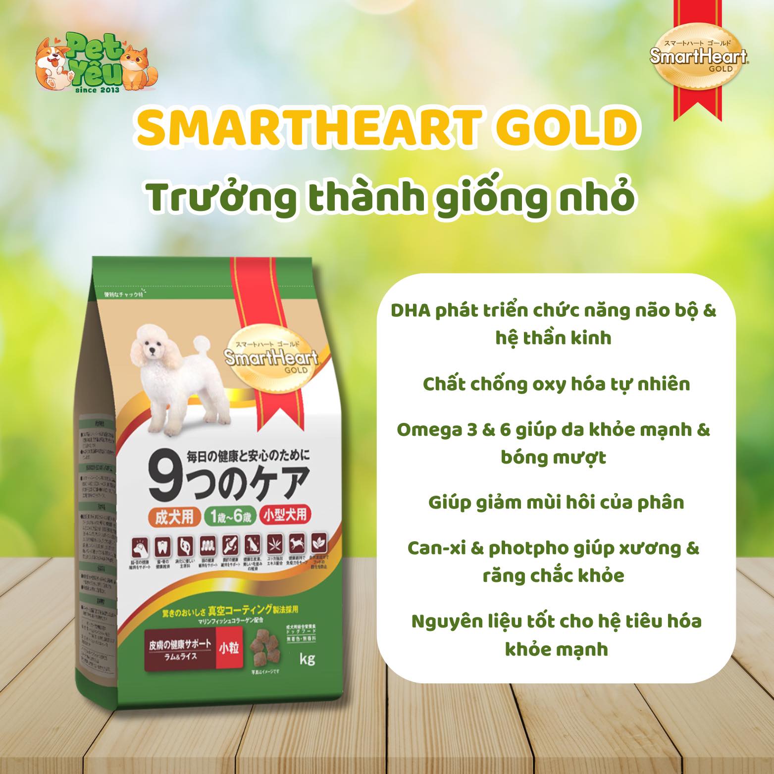 Thức ăn hạt SmartHeart Gold dành cho chó