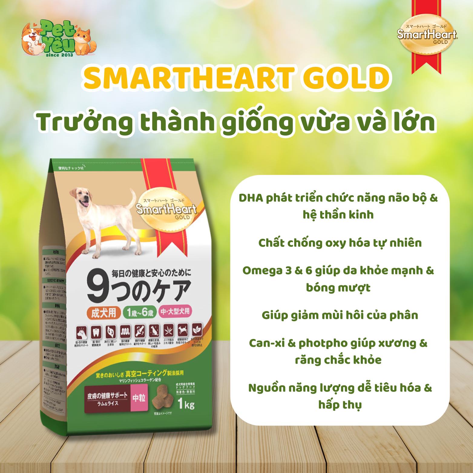 Thức ăn hạt SmartHeart Gold dành cho chó