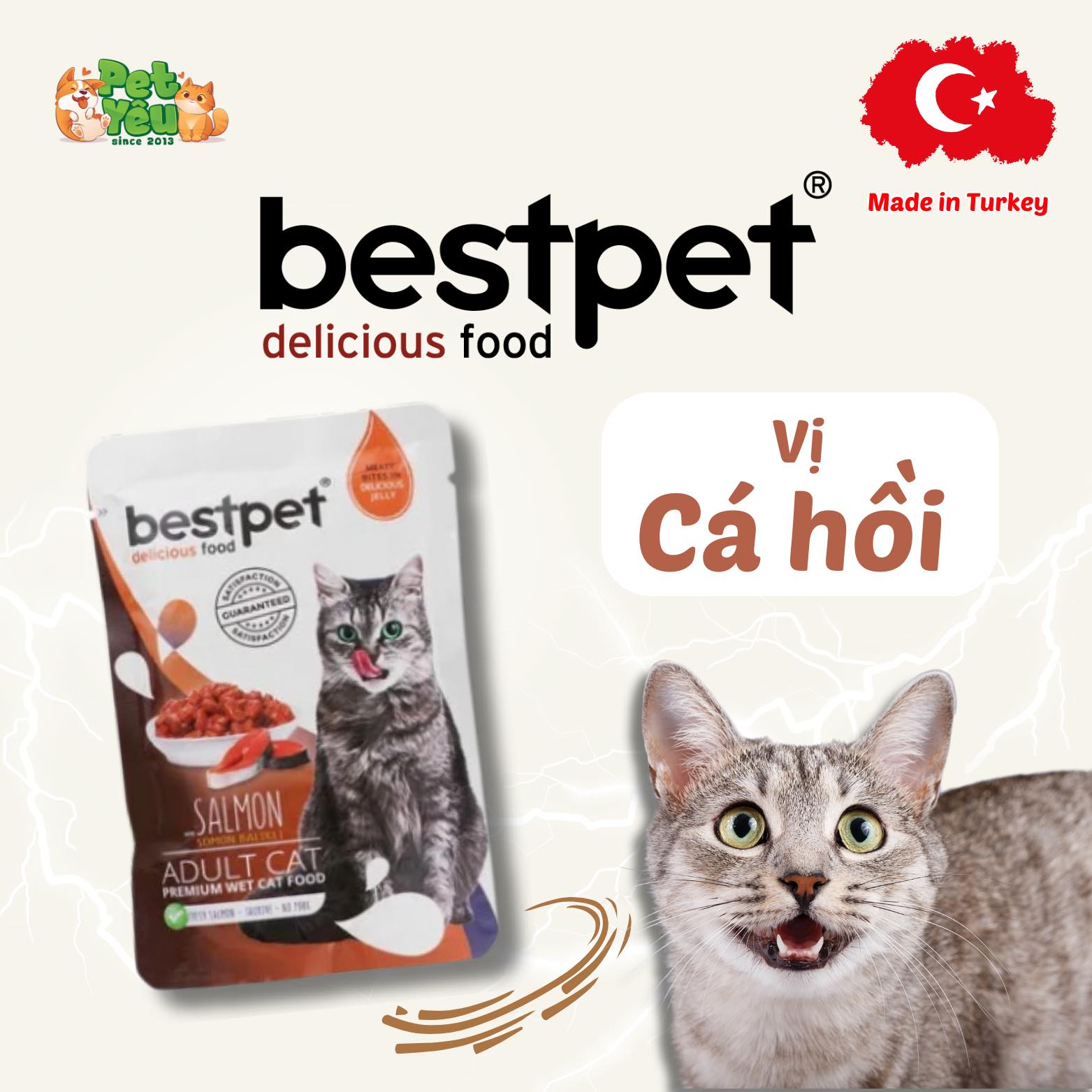 Pate Bestpet- Đặc Sản Thổ Nhĩ Kỳ Cho Mèo (Gói 85G)