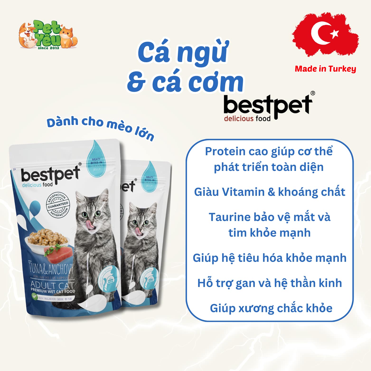 Pate Bestpet- Đặc Sản Thổ Nhĩ Kỳ Cho Mèo (Gói 85G)