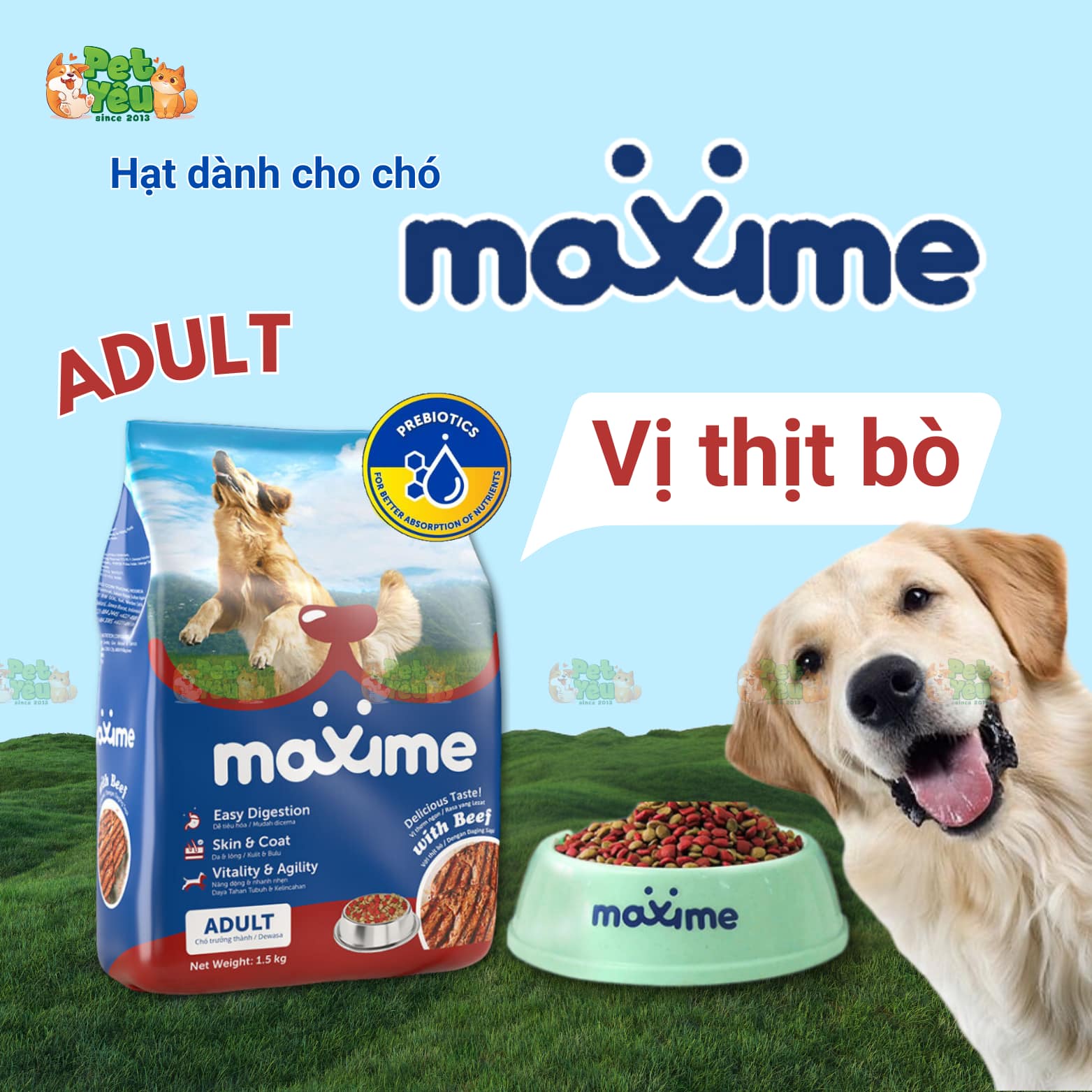 Thức ăn hạt dành cho chó Maxime đến từ Philippines