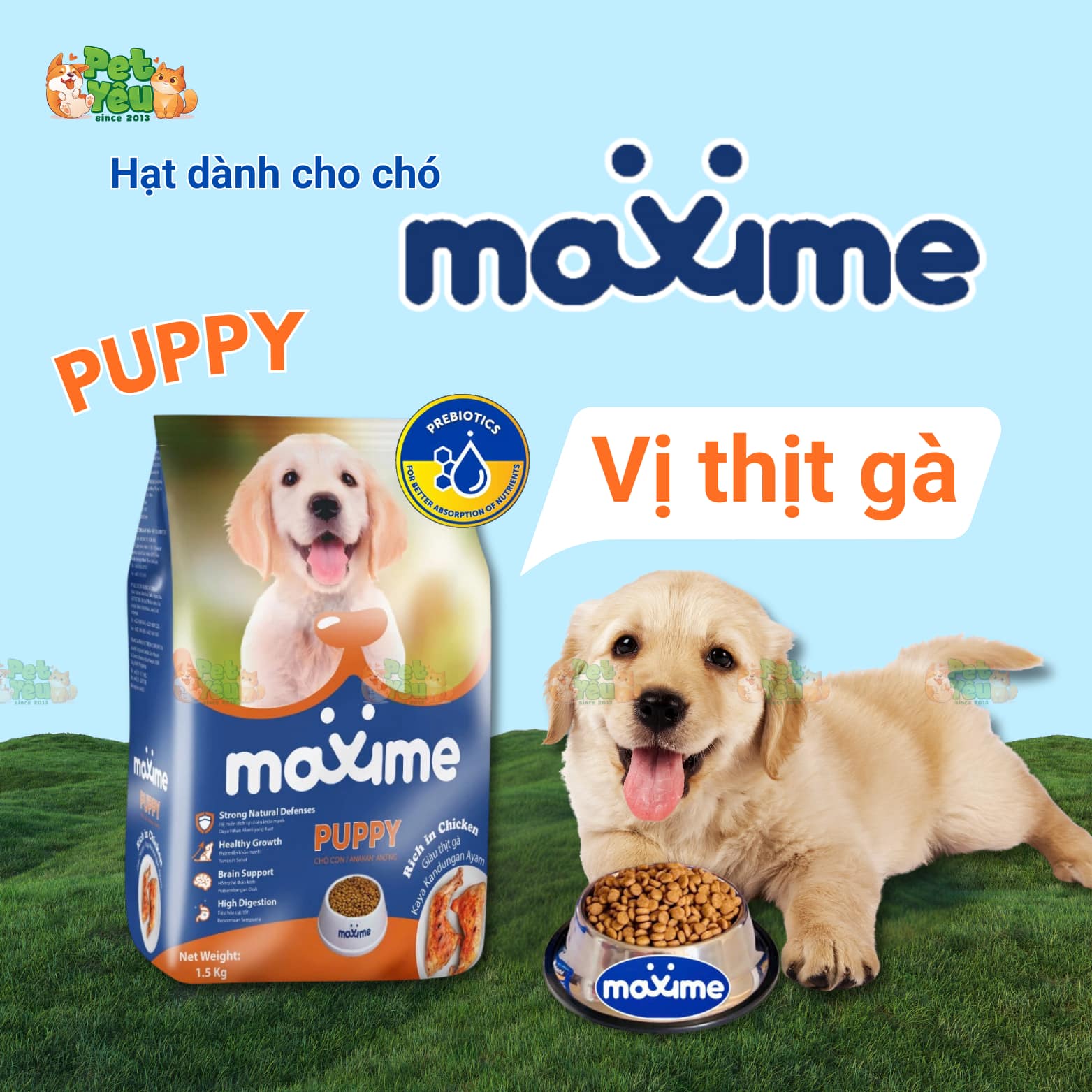 Thức ăn hạt dành cho chó Maxime đến từ Philippines