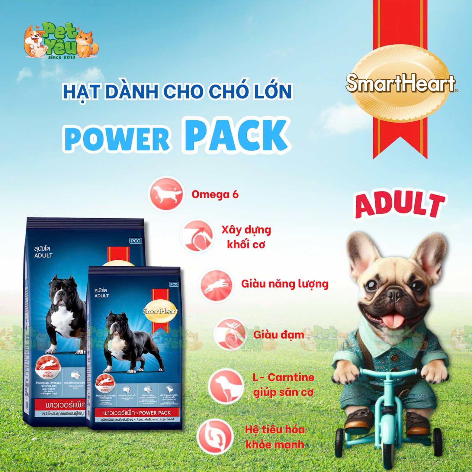 THỨC ĂN HẠT KHÔ CHO CHÓ GIÚP TĂNG CƠ BẮP - SMARTHEART POWER