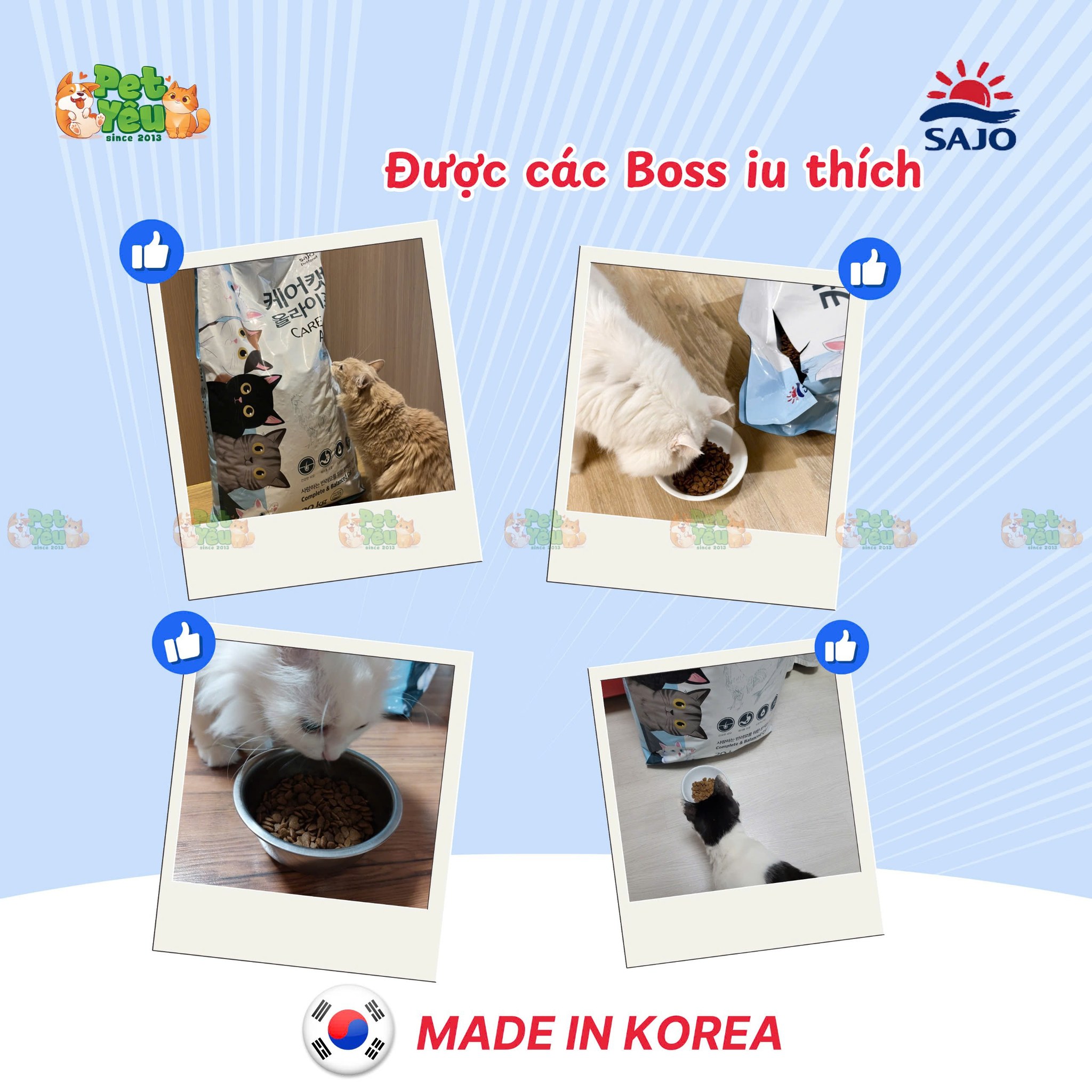 Thức ăn hạt Care Cat dành cho mèo mọi lứa tuổi