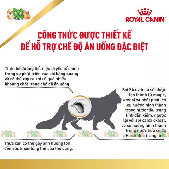Hạt Royal Canin Urinary S/O dành cho mèo bị sỏi thận