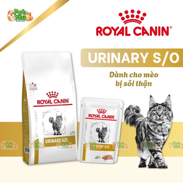 Hạt Royal Canin Urinary S/O dành cho mèo bị sỏi thận