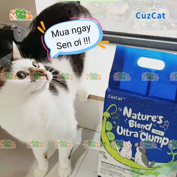 Cát đậu nành Cuzcat Nature's Blend Ultra Clump 3in1 - 6L