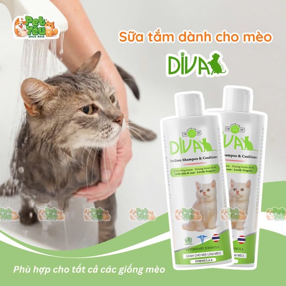 Sữa Tắm DIVA dành cho mèo chuẩn Spa