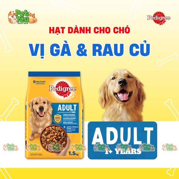 Thức ăn hạt Pedigree dành cho chó lớn - Túi 1,5Kg