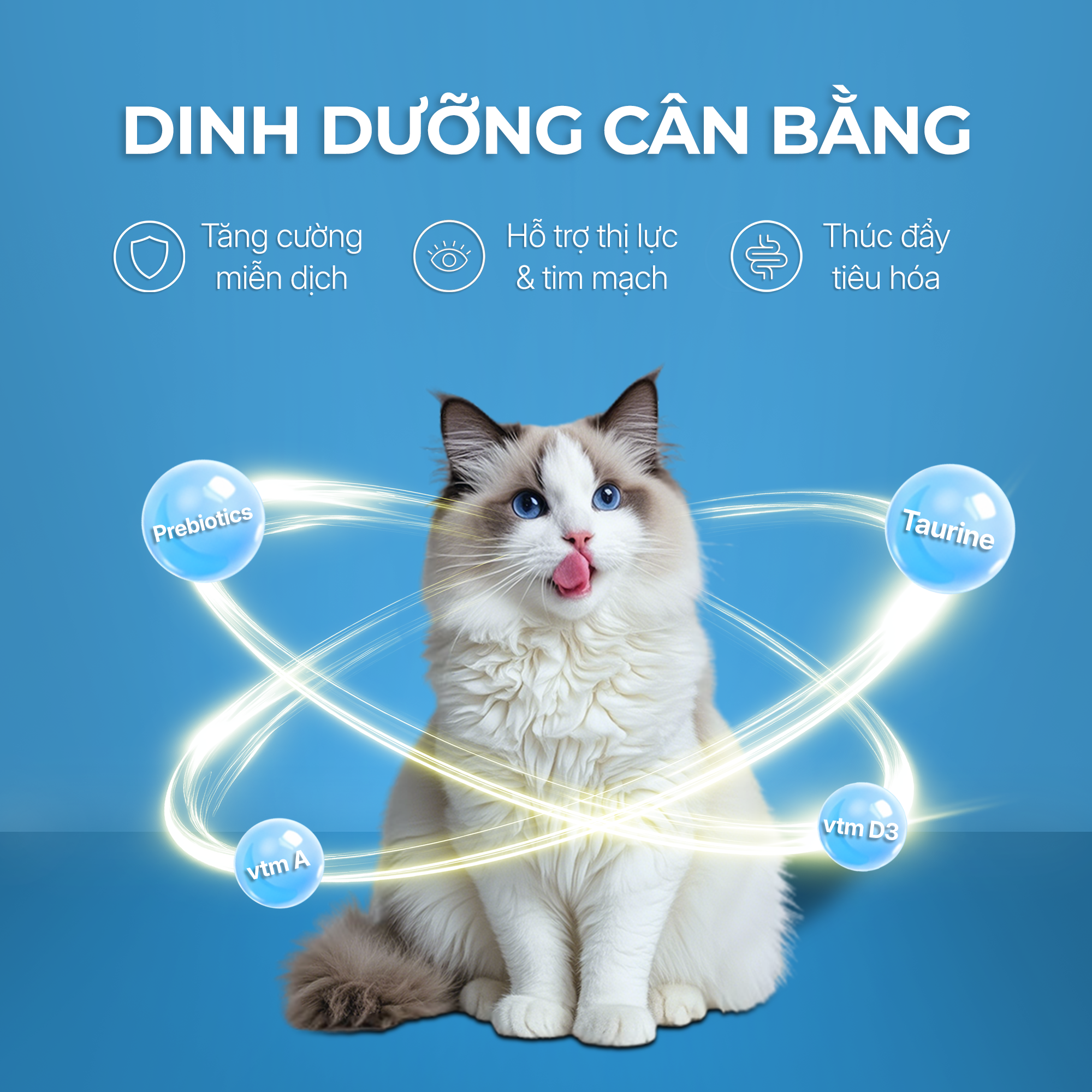 Pate sữa dê cho mèo từ 3 tháng tuổi FAENBEI - Túi 85G