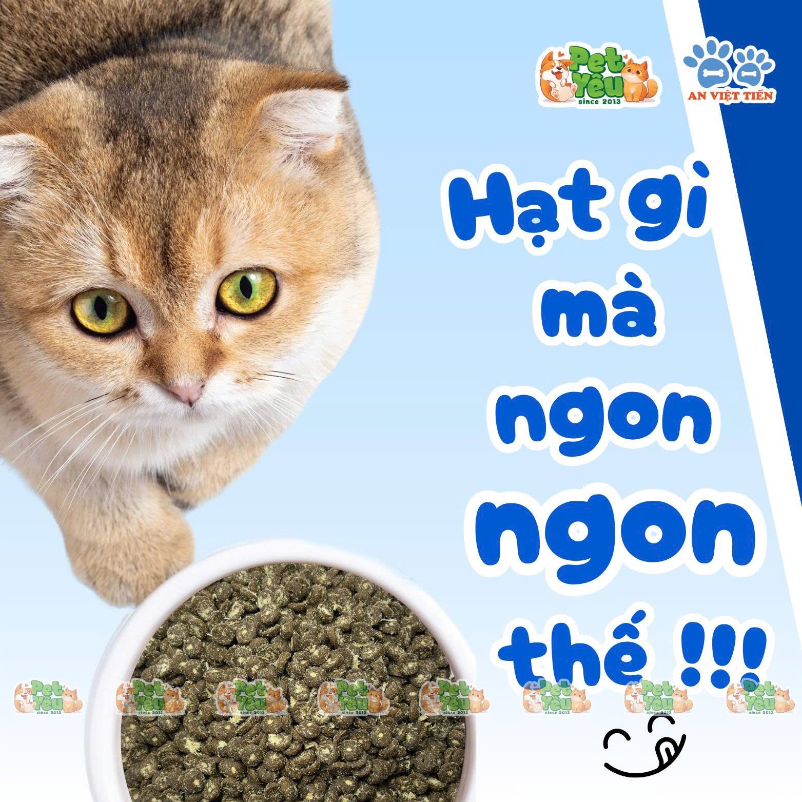 Thức ăn hạt dành cho mèo 5Plus CatMix- Bao 5Kg