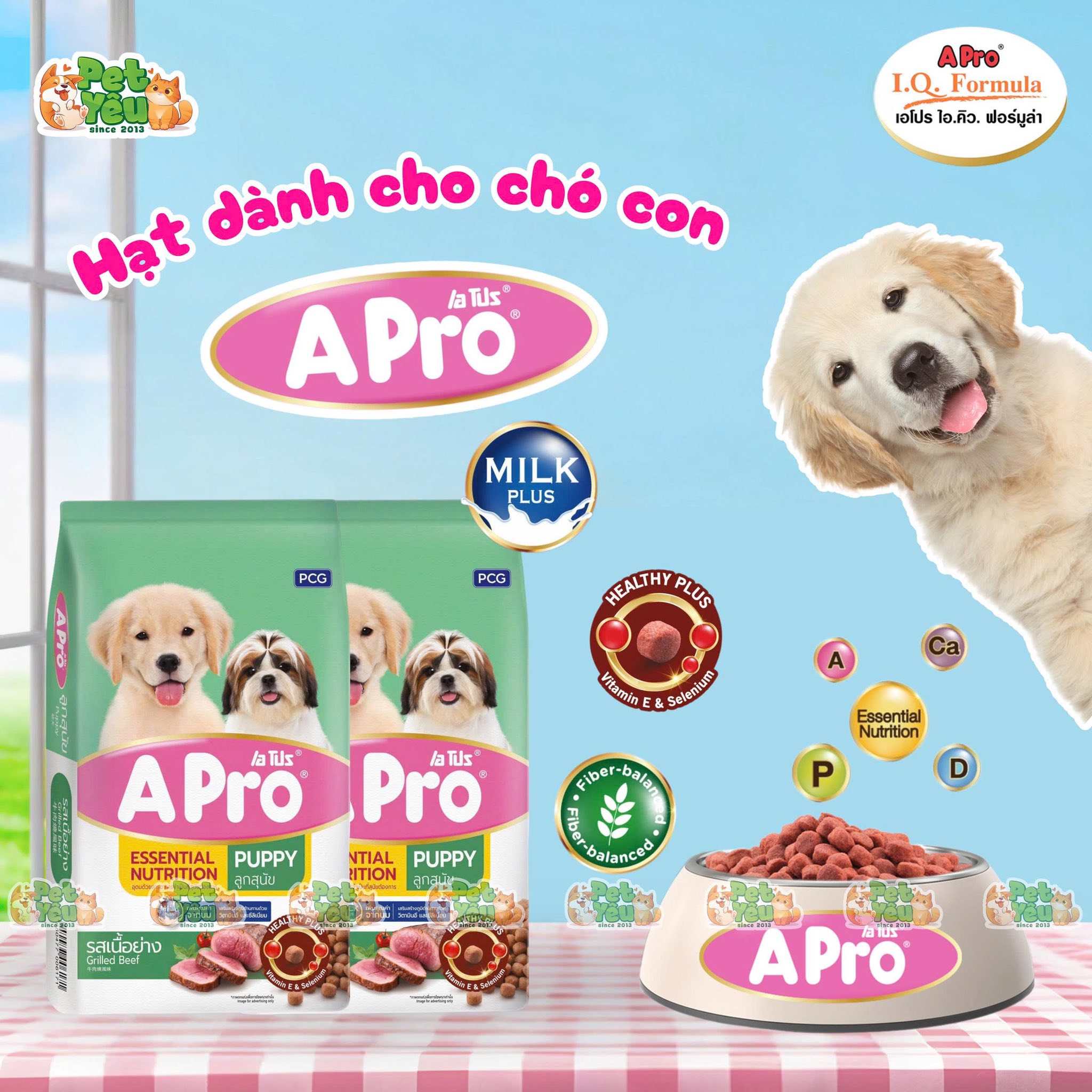Thức ăn Hạt A-Pro cho chó ở mọi độ tuổi