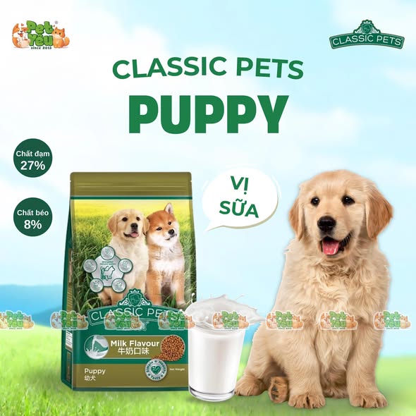 Hạt cho chó CLASSIC PETS- Túi 400G