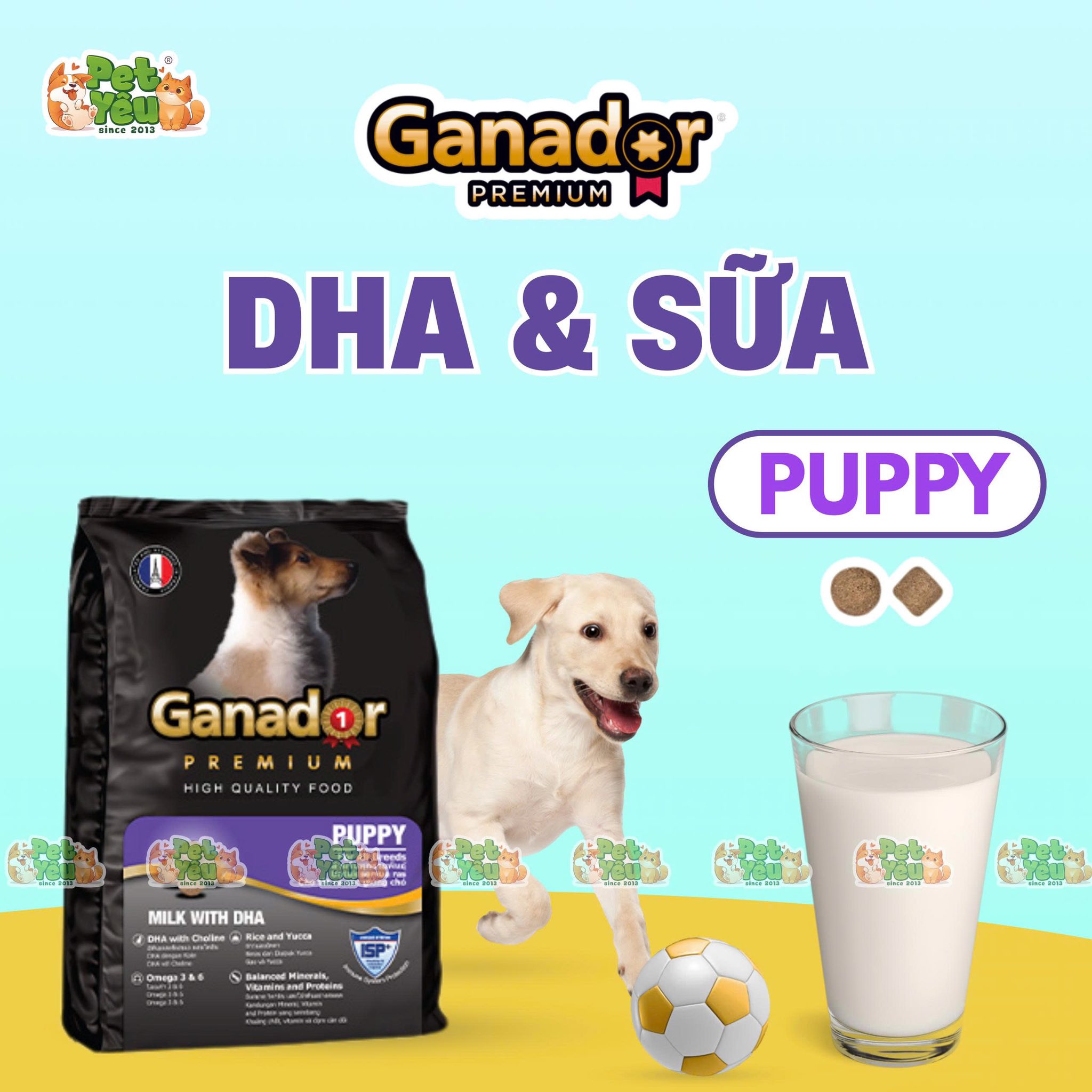 Hạt Ganador Premium dành cho chó