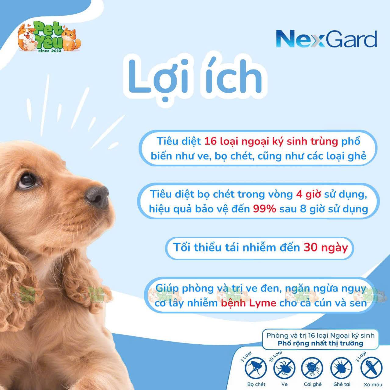 Viên nhai Nexgard phòng và trị ve, bọ chét cho chó