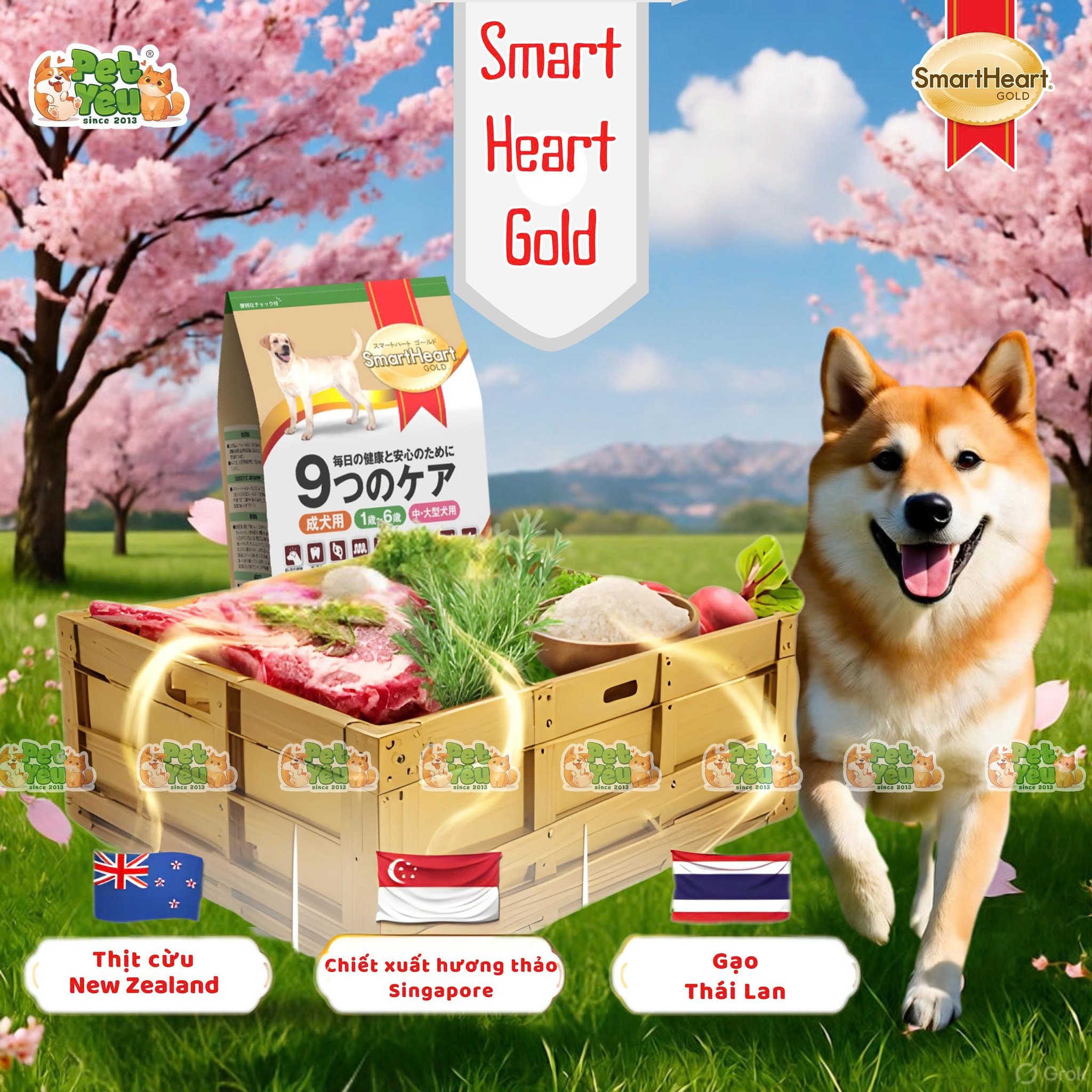 Hạt Cho Chó Trưởng Thành SmartHeart Gold Cao Cấp Vị Cừu & Gạo