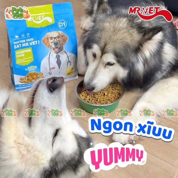 Thức ăn cho chó Mr.Vet D1