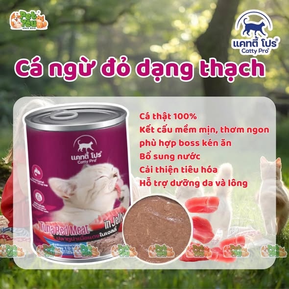 Thức ăn cho mèo Catty Pro