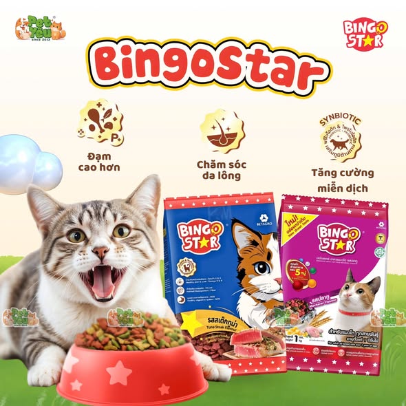 Hạt cho mèo  Bingo Star từ Thái Lan