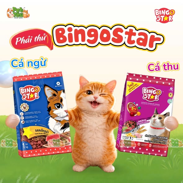 Hạt cho mèo  Bingo Star từ Thái Lan
