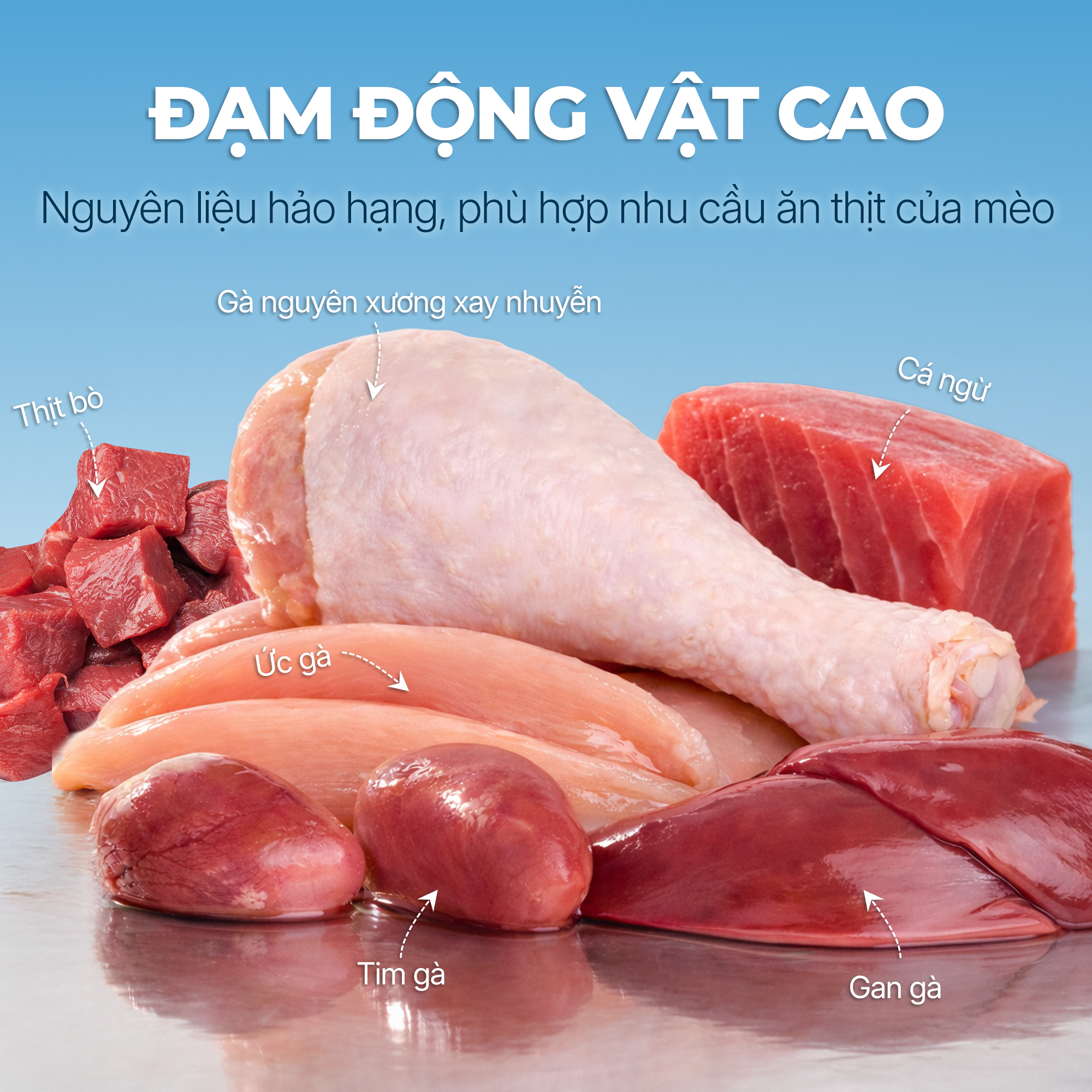 Pate Mousse FAENBEI cho mèo từ 3 tháng tuổi - Túi 85G