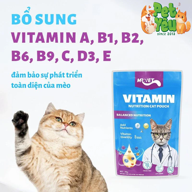 Pate cho mèo MR.VET - Gói 70G 