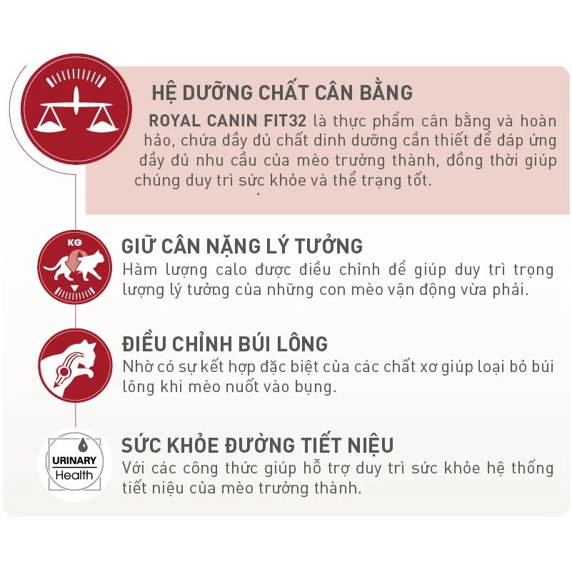 Thức ăn hạt Royal Canin Fit 32 cho mèo trưởng thành