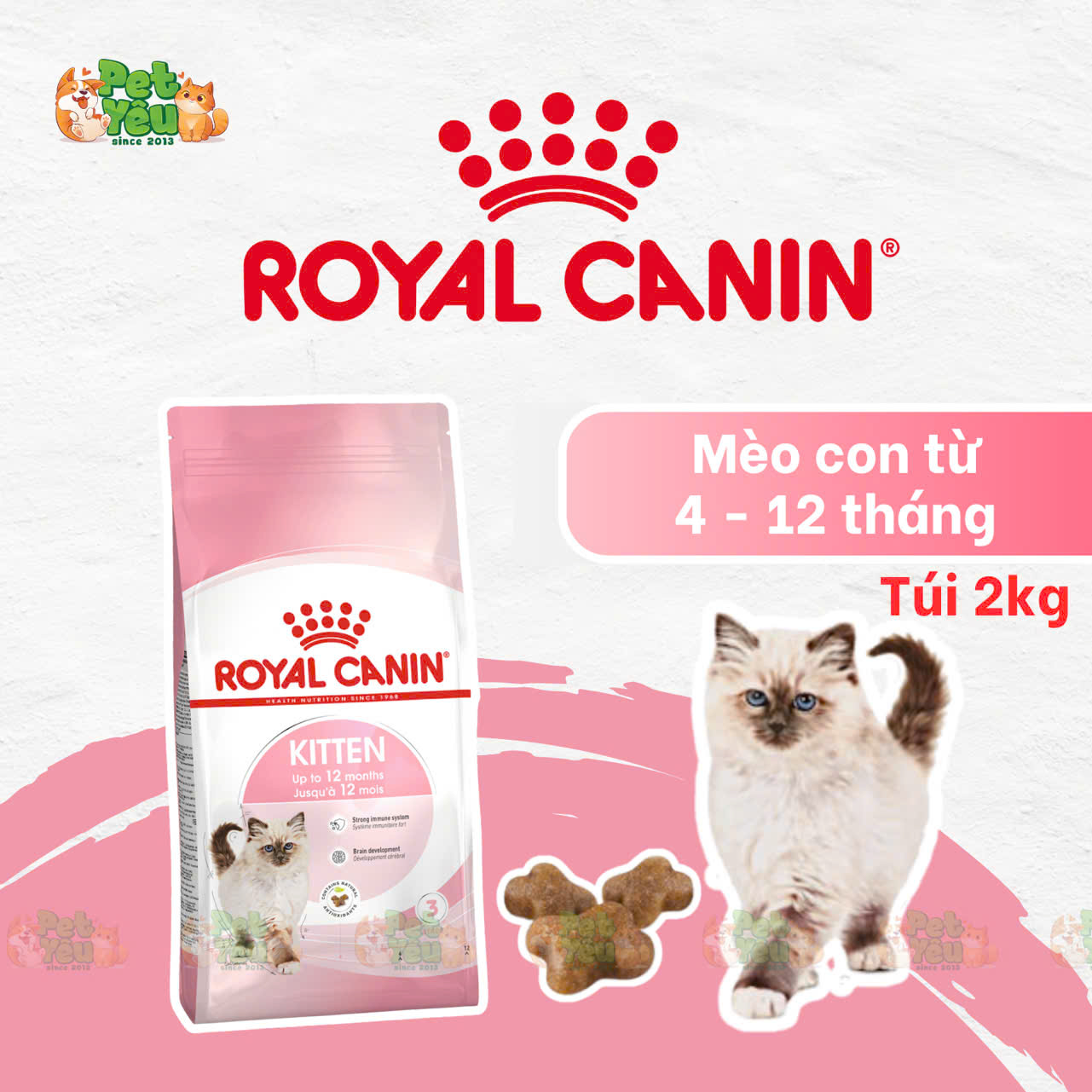 Thức ăn hạt Royal Canin dành riêng cho mèo mẹ & mèo con