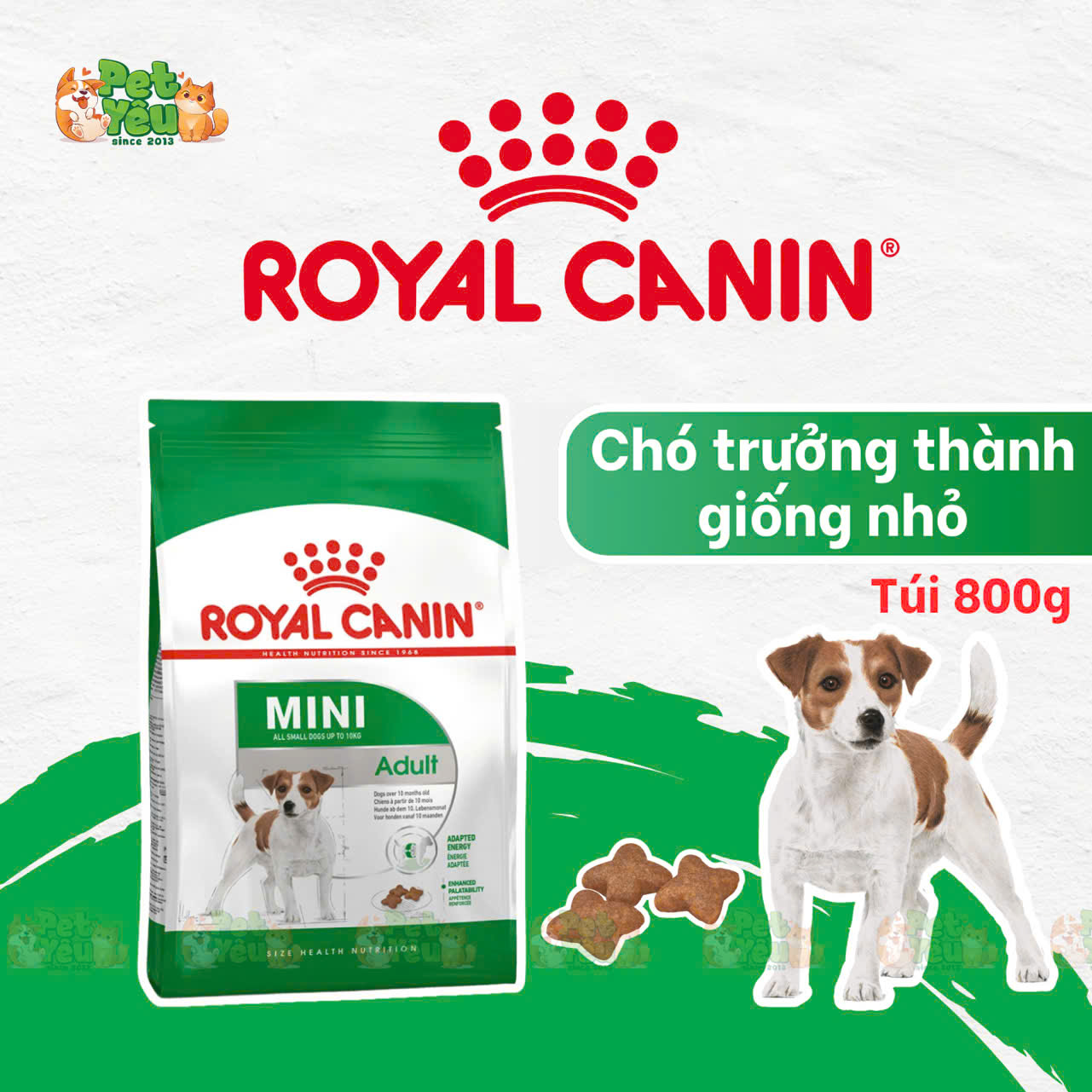 Thức ăn hạt cho giống chó nhỏ Royal Canin