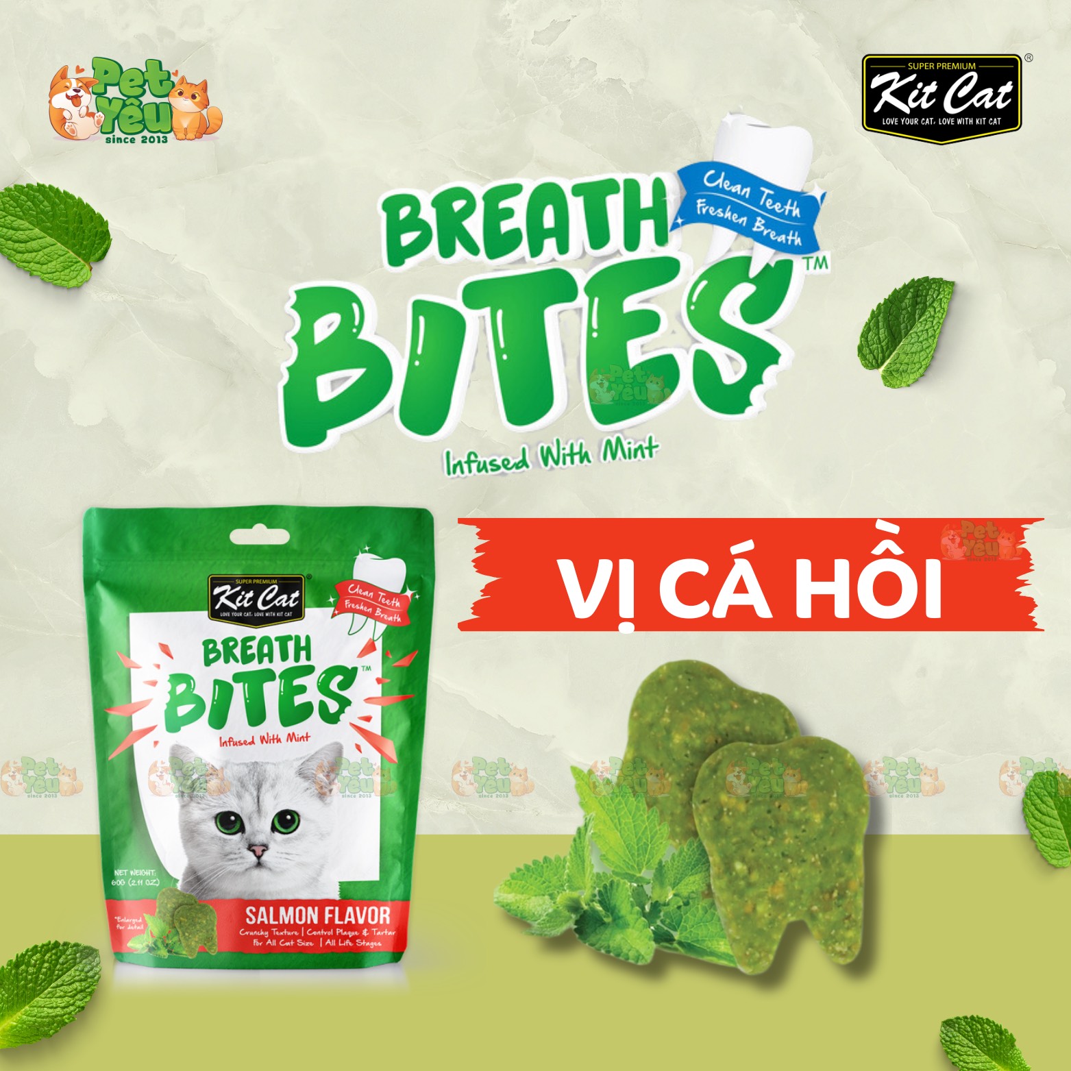 Snack Kitcat Breath Bites sạch răng thơm miệng dành cho mèo - Vị Cá Hồi