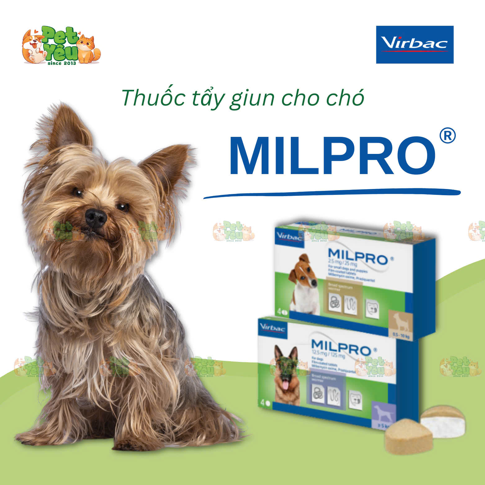 Thuốc xổ giun MILPRO dành cho chó