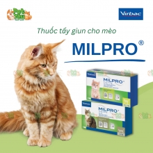 Thuốc xổ giun MILPRO dành cho mèo