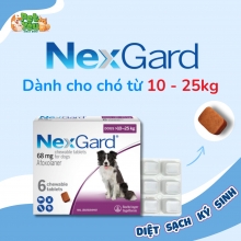 Viên nhai Nexgard trị ve dành cho chó từ 10 - 25KG